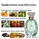 Жіноча парфумована вода Hera, 65 мл - изображение 9