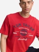 Футболка хлопковая длинная мужская Tom Tailor 1037735-12830 M Samba Red с принтом (4069402342787) - изображение 4