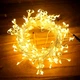 Гирлянда "Роса" зеленая пушистая проволока USB с пультом д/у 10м 300LED Теплый свет - изображение 1