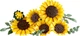 Конструктор LEGO Botanicals Букет подсолнухов 686 деталей (11502) - изображение 3