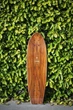 Скейт круизер деревянный Arbor - Groundswell Sizzler 30.5" 77,5 см (rz4162) - изображение 8