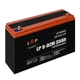Тяговый свинцово-кислотный AGM аккумулятор LP 6-DZM-35 Ah refurbished 05.2024 - изображение 2