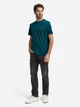 Футболка хлопковая длинная мужская Tom Tailor 1050139-12818 S Deep Meadow Green (4069403126713) - изображение 3