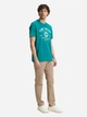 Футболка хлопковая длинная мужская Tom Tailor 1037735-11037 XL Dark Bottle Green с принтом (4068128279803) - изображение 3