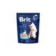 Корм сухой Brit Premium by Nature Cat Kitten для котят от 1-12 месяцев с курицей 300 г - изображение 1