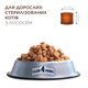 Сухой корм Club 4 Paws Adult Cats Sterilised Salmon - сухой корм с лососем для стерилизованных кошек 14 кг (B4631501) - изображение 4