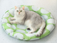 Охолоджуючий килимок для собак GEL Pet Cooling Mat Round Green, 60х60 см - зображення 1