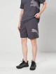 Спортивные шорты для тренировок мужские Puma Train All Day Big Cat 52672399 2XL Galactic Gray-White Cat (4069162317209) - изображение 1