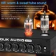Ламповий підсилювач Douk Audio T8 PRO HiFi стереофонічний, з балансними роз'ємами XLR/RCA, 7-смуговий еквалайзер, акустична система для дому з регулюванням тембру Black - зображення 5