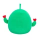 М'яка іграшка Squishmallows – Друзі Кактуси (2 шт, 19 cm) Squishmallows (249487) - зображення 5