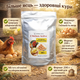 Активатор яйценоскости Chicken Active для кур несушек кормовая добавка 200 г - изображение 1