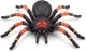 Інтерактивна іграшка Zuru Robo Alive Giant Tarantula великий павук Тарантул зі слизом - изображение 4