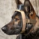 Кріплення камери MOHOC K9 Mount для собак Чорний (2000000198491) - зображення 5