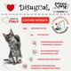 Вологий корм для кошенят Безгютеновий Паштет з Яловичини Disugual Mini Me Kitten 96% Protein Beef 85 г - зображення 2
