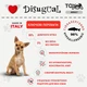 Влажный корм для собак Беззерновой Паштет из Белой Рыбы Disugual TOYDog MonoProtein 96% White Fish 85 г - изображение 2