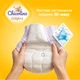 Подгузники Chicolino Soft comfort Розмір 3 (4-9кг) 36 шт (4820204703530) - изображение 3