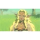 Гра Hyrule Warriors: Age of Imprisonment для Nintendo Switch 2 (EN) [158960] - зображення 12