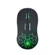 Мышь беспроводная игровая Holy Sword M600 RGB подсветка 12800 DPI 2,4G+Bluetooth Black - изображение 1
