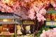 Кукольный домик-театр ручной работы MAGQOO Wo No Wu BOXTHEATRE Cherry blossoms в металлической шкатулке (100015446609) - изображение 5