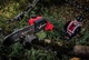 Einhell Висоторіз ланцюговий акумуляторний Einhell Professional GP-LC 18/20 Li T BL-Solo 18В ш - изображение 6