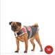 Жилет для собаки розмір XL Vest DIEGO vest Червоний - тепла двошарова жилетка для собак з пальтової тканини з шерстю, застібки на липучках - зображення 7
