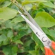 Секатор садовый для сбора фруктов и обрезки SAGAWATA SW-912 удлиненный, ножницы для фруктов - изображение 9
