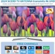 TV Антенна SCERD 4K HD с усилителем до 1280 км - изображение 7