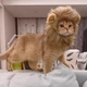 Шапка-перука Грива Лева для кота, аксесуар для фотосесій, кумедний костюм Cat Lion Mane - изображение 2