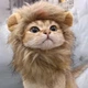 Шапка-перука Грива Лева для кота, аксесуар для фотосесій, кумедний костюм Cat Lion Mane - изображение 6