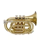 Труба STAGG P WS-TR245S - зображення 1