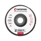 Диск шлифовальный лепестковый, 125×22 мм, зерно K80, 13300 об/мин INTERTOOL BT-0208 - изображение 1