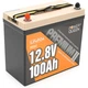 Батарея LiFePo4 Power Queen 12.8V 100Ah Mini (P12V100-PREM-16-A60-DE) - зображення 1