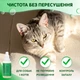 Ушные капли для собак и кошек ProbioDay лосьйон для ушей животных антибактериальный Пробиодей, 30 мл - изображение 4