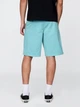 Шорты хлопковые короткие мужские GAP 330112848 31 Бирюзовые (1159855397) - изображение 2