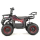 Дитячий електричний квадроцикл Xcross Xtr E-M9 800W Червоний - изображение 6