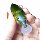 Воблер Megabass Z Crank X US Tour Edition #WAGIN OIKAWA - Б/У - изображение 2