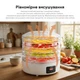Сушилка для овощей и фруктов RZTK DFV 325 - изображение 4