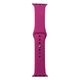 Ремінець для Apple Watch Band Silicone One-Piece Size-S 38/40/41 mm 48.Dragon Fruit - изображение 1