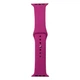 Ремінець для Apple Watch Band Silicone One-Piece Size-S 42/44/45/49 mm 48.Dragon Fruit - изображение 1