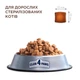Сухий корм для кішок Club 4 Paws Преміум Sterilised з куркою 900 г (4820269144811) - зображення 3