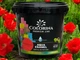 Краска акриловая без запаха Colorina AQUA ENAMEL 2 л красный мак - изображение 1