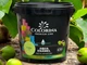 Краска акриловая без запаха Colorina AQUA ENAMEL 2 л лайм - изображение 1