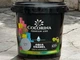 Краска акриловая без запаха Colorina AQUA ENAMEL 0,9 л серая - изображение 1