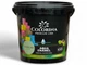 Краска акриловая без запаха Colorina AQUA ENAMEL 0,9 л оливковая - изображение 2
