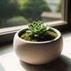 Вазон Bowl Pot – округлое декоративное кашпо для цветов, суккулентов и декора | современный минималистичный дизайн кашпо для дома - изображение 1