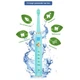 Електрична зубна щітка AHealth SMART SONIC SMILE 1 green (AHsss1g) AHealth AHsss1g 972540 - зображення 2