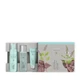 Artistry Skin Nutrition™ Мини-набор средств для увлажнения кожи Amway (123804) - изображение 1