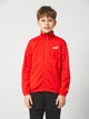 Детский спортивный костюм (толстовка + штаны) для мальчика Puma 68629311 134-140 см For All Time Red (4067983240836) - изображение 3