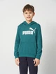 Подростковое худи для мальчика Puma Essentials No.1 Logo 68490941 146-152 см Emerald Ice (4069161983849) - изображение 1