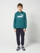 Подростковое худи для мальчика Puma Essentials No.1 Logo 68490941 158-164 см Emerald Ice (4069161983856) - изображение 3